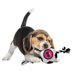 Extra Product Image