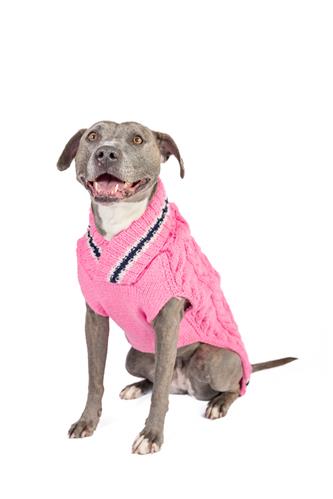 PREPPY PINK Cable Knit Wool Dog Sweater