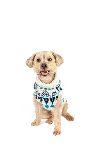 Coastal Cable Wool Dog Sweater