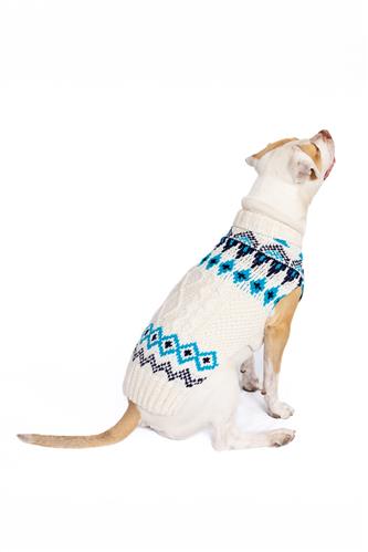 Coastal Cable Wool Dog Sweater