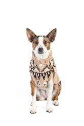 Extra Product Image