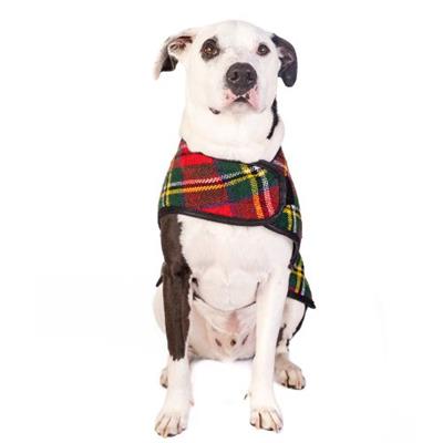 SCOTTY PLAID COAT