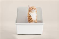 Extra Product Image
