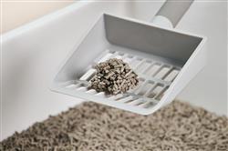 Extra Product Image