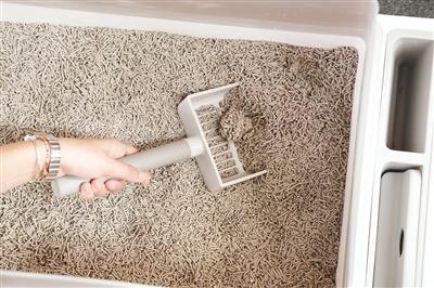 Litter Box Scoop
