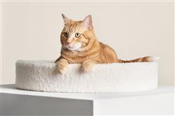 Extra Product Image