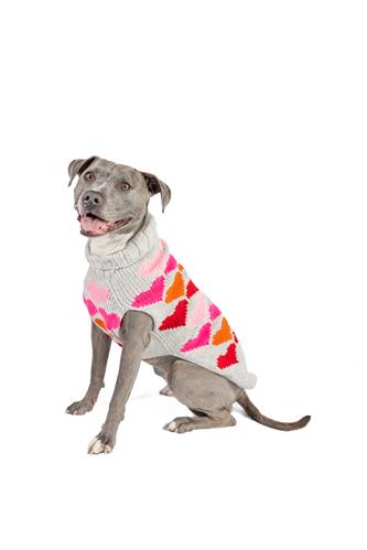 Puppy Love Knit Dog Sweater