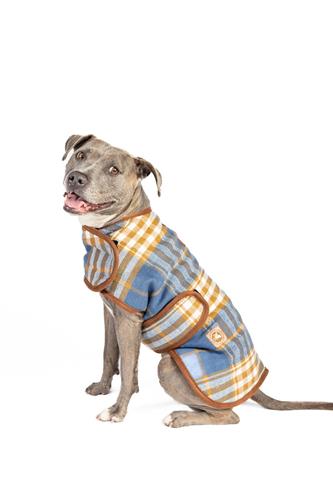 Western Plaid Dog Coat