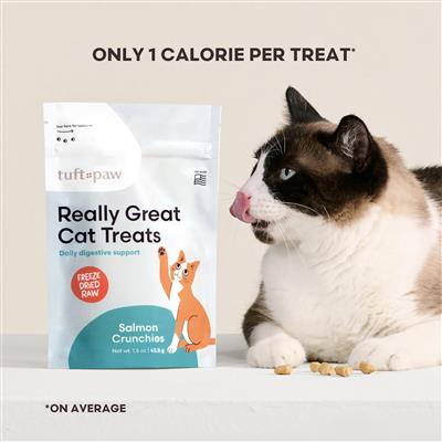 Really Great Cat Treats (3-pack)