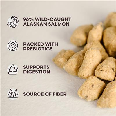 Really Great Cat Treats (3-pack)