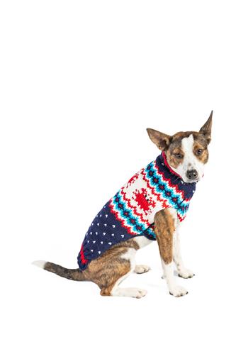 Crabby Dog Sweater