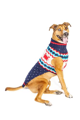 Crabby Dog Sweater