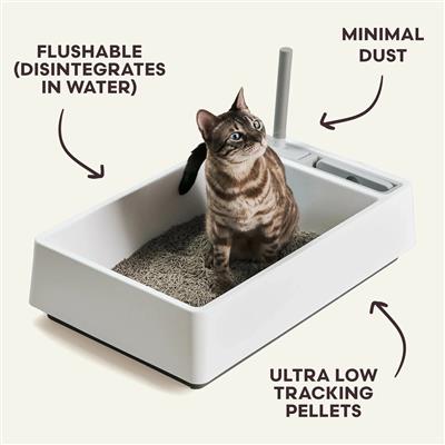 Really Great Cat Litter (5-pack)