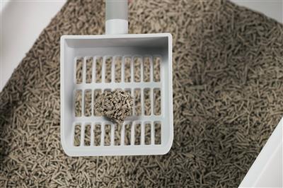Really Great Cat Litter (5-pack)