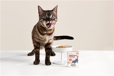 Really Great Cat Food (24-pack)