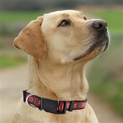 Atlanta United Satin Collar