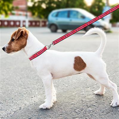 St. Louis SC Satin Ribbon Leash