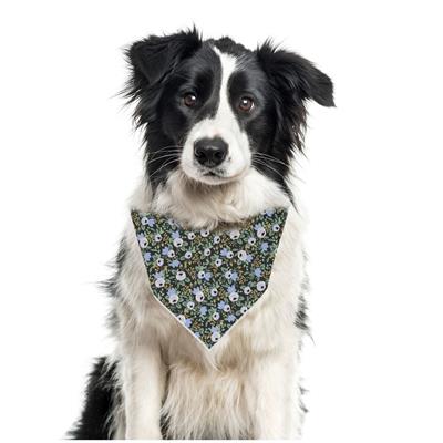 Fall Bandana | Dog Bandana | Autumn Pet Bandana