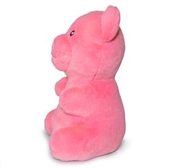 Extra Product Image
