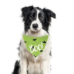 Extra Product Image