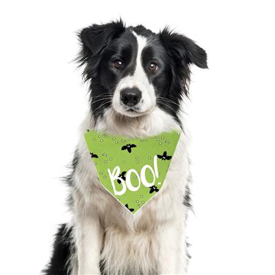 Halloween Bandana | Halloween Dog Bandana | Bats | Green Bandana | BOO