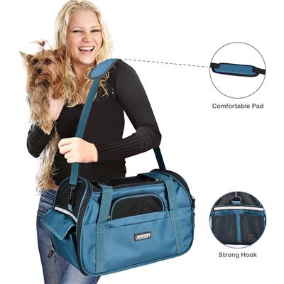 GOOPAWS Soft Sided Pet Cat Carrier Perfect for Travel, Teal Blue, 19"