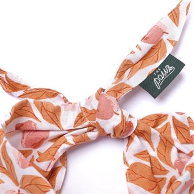 Apple Crisp Dog Bandana