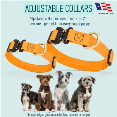 Biothane Dog Collar with Cobra Metal Buckle