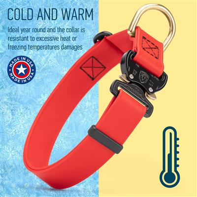Biothane Dog Collar with Cobra Metal Buckle
