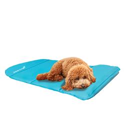 Extra Product Image