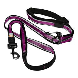 Kurgo Dog Quantum Leash Violet