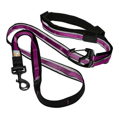 Kurgo Dog Quantum Leash Violet