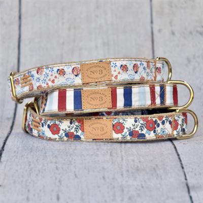 1" Mariner Stripe Collar & Lead