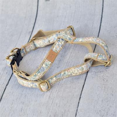 1 inch & 3/4 width English Garden Collar & Lead