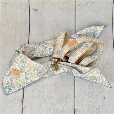 1 inch & 3/4 width English Garden Collar & Lead