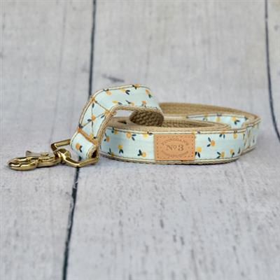 1 inch & 3/4 width Clementine Collar & Lead