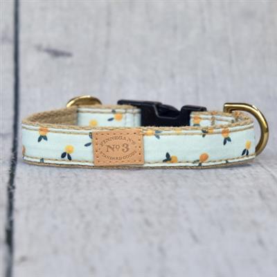 1 inch & 3/4 width Clementine Collar & Lead