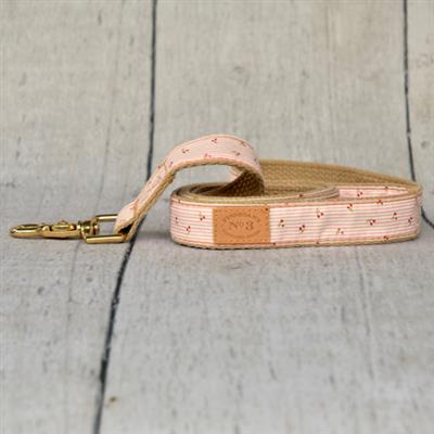 1 inch & 3/4 width Mon 'Cherie Collar & Lead
