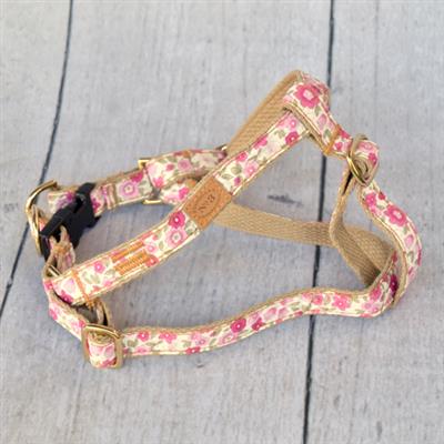 Freya Collar, Lead & Harness