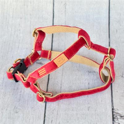 Azalea Velvet Collar, Lead & Harness