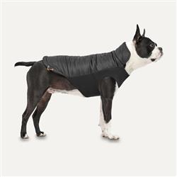 Goo-Eez Mock Neck Signature Dog Jacket Black Small