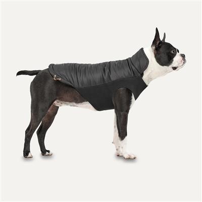 Goo-Eez Mock Neck Signature Dog Jacket Black Small