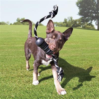 KONG Extreme Dental w/Rope Md