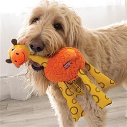 Extra Product Image