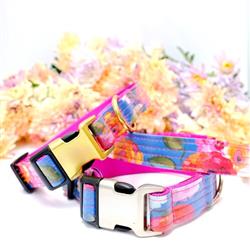 Extra Product Image