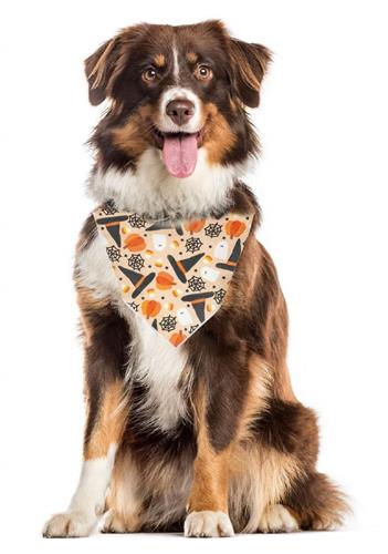 Halloween Bandana | Fall Dog Bandana | Ghost, Pumpkins