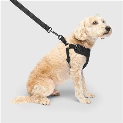 Easy-On Step-In Harness