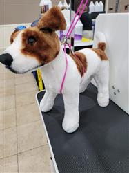 Extra Product Image