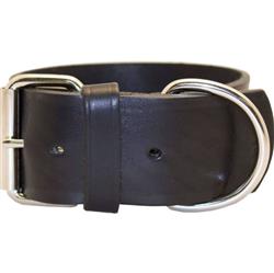 Omni Pet Latigo Leather 1 Ply Dog Collar Black  2 x 27in.