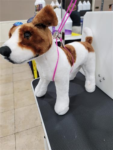 All For Groomers Purple Trach Saver-Large